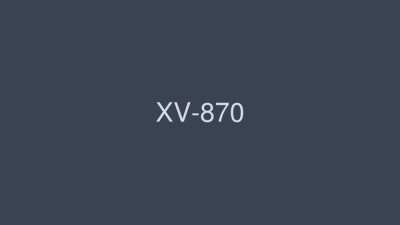 XV-870 MAX GIRLS 32 [쇼츠야동,섹트야동,국산야동,혼딸야동]