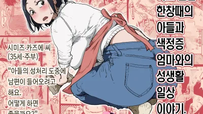 하고 싶은 한창때의 아들과 색정증 엄마와의 성생활 일상 이야기. [쇼츠야동,섹트야동,국산야동,혼딸야동]